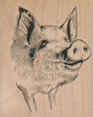 Pigface 2 1/4 X 2 3/4