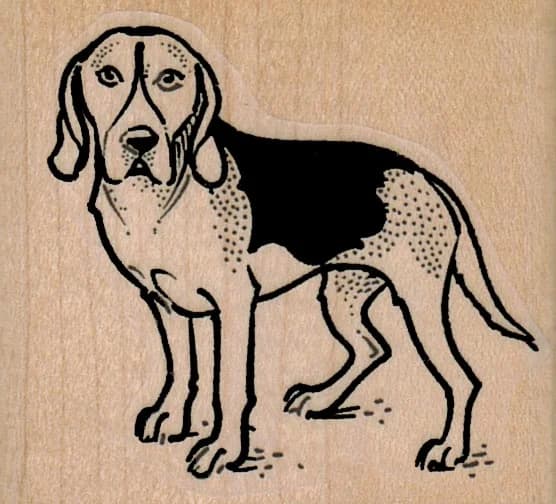 Sad Fox Hound Dog 2 X 1 3/4