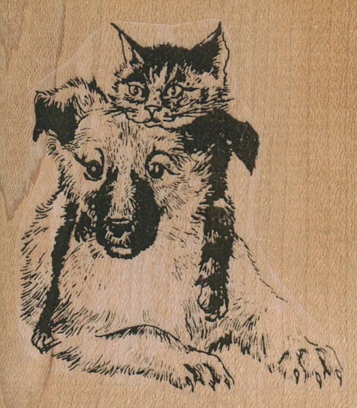 Cat And Dog Buddies 2 1/2 X 2 3/4