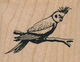 Cockatoo On Branch 2 X 1 1/2