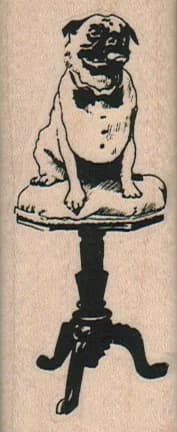 Pug On Table 1 1/4 X 3