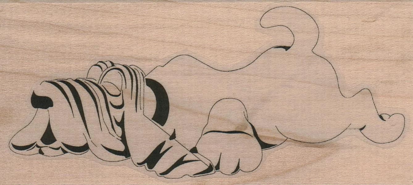 Wrinkled Bassett Hound 2 1/4 X 4 1/2