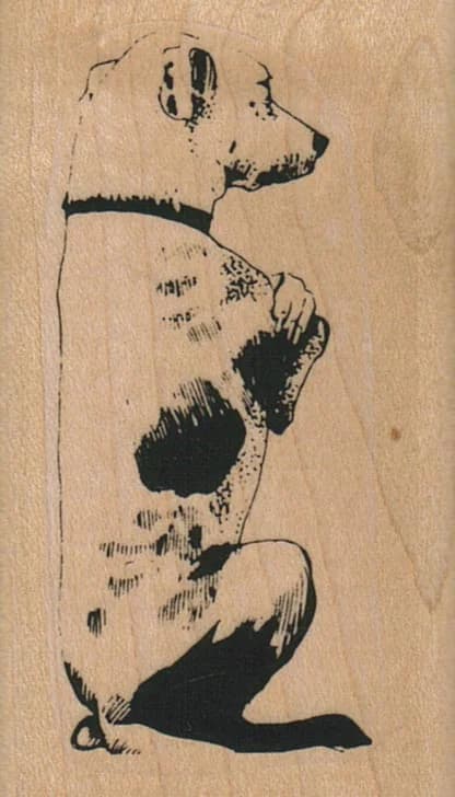 Terrier Dog Sitting 1 1/2 X 2 1/2