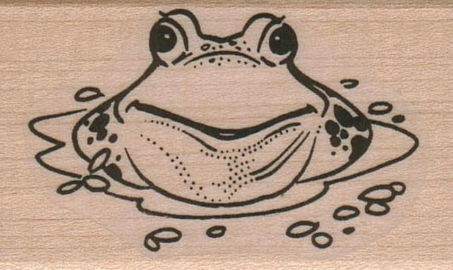 Frog In Water 1 1/2 X 2 1/4