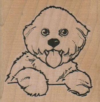 Panting Bichon 2 1/2 X 2 1/2