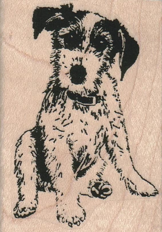 Dog Sitting 2 X 2 3/4