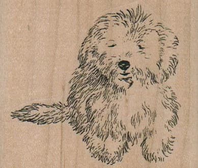 Bichon/maltese Buddy 2 3/4 X 2 1/4