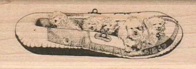 Bichons In Boat 1 1/4 X 3 1/4