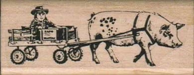 Rapid Express 1 1/4 X 3 1/4