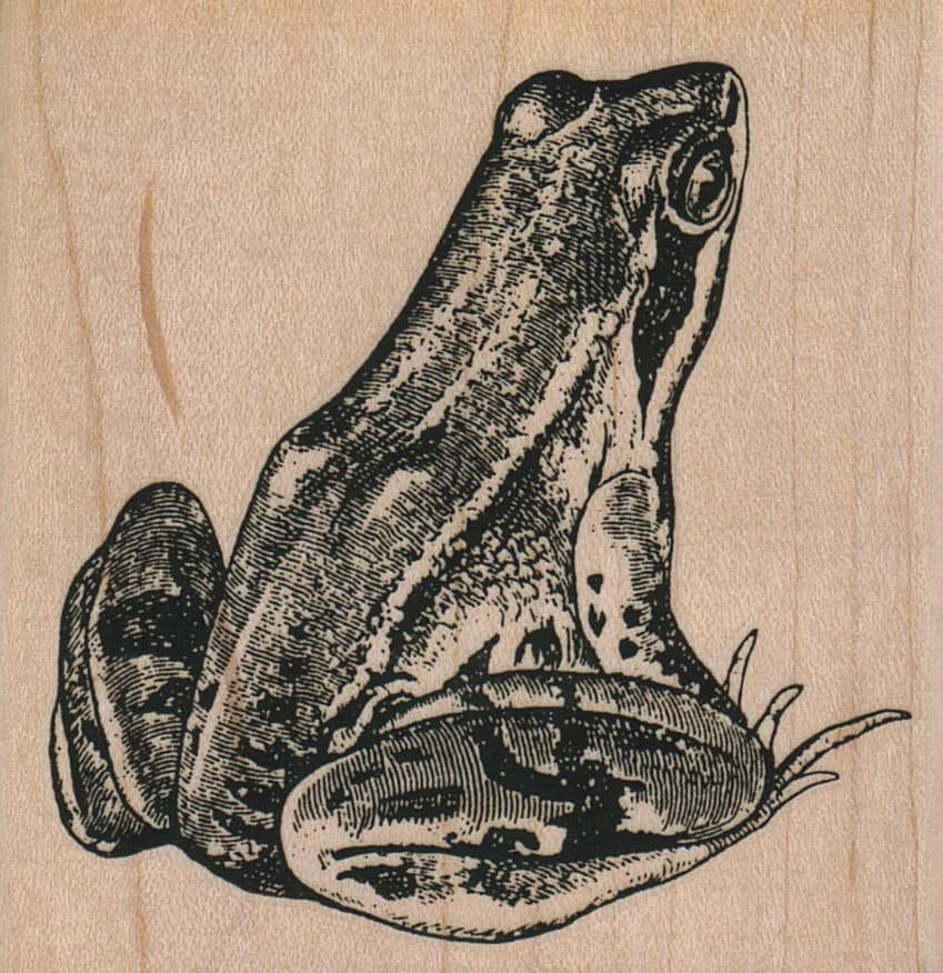 Frog 3 X 3