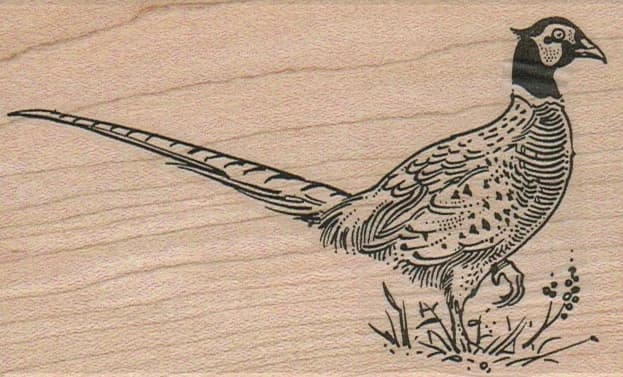 Pheasant 2 3/4 X 4 1/4