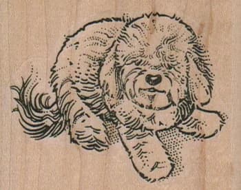 Happy Bichon Dog 2 1/2 X 2