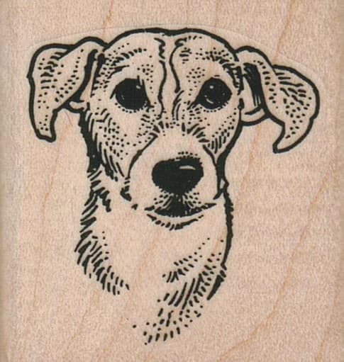 Floppy Eared Dog 1 3/4 X 1 3/4