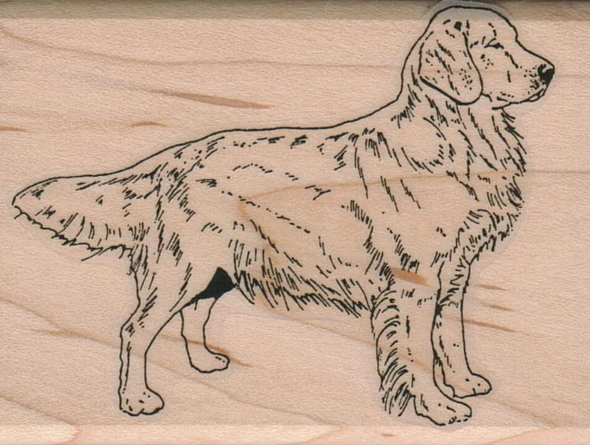 Dog Side View 2 1/4 X 3