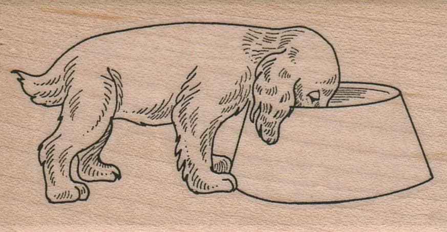 Dog And Dish 1 3/4 X 3