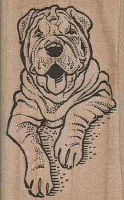 Sharpei Panting 1 3/4 X 2 3/4