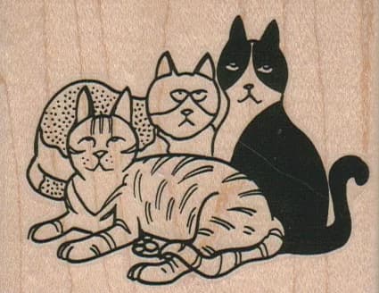 Cat Trio 3 X 2 1/4