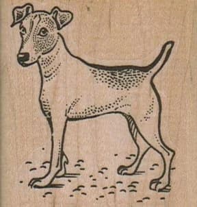 Alert Dog 2 X 2