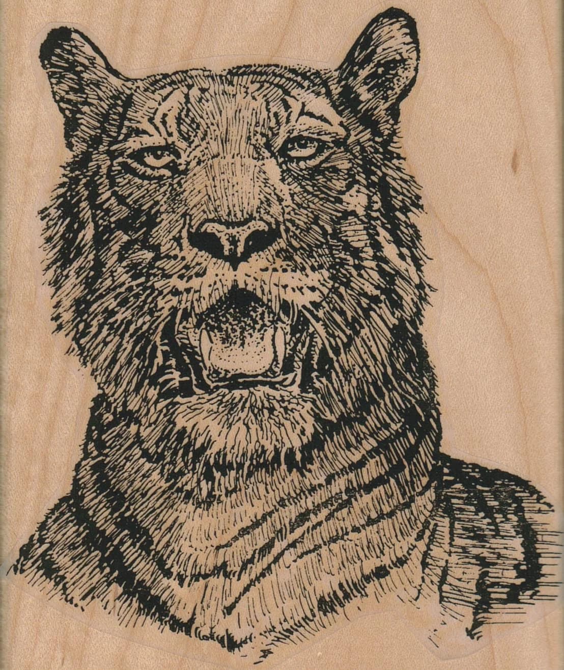 Tiger Tiger Burning Bright 3 3/4 X 4 1/2