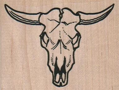 Steer Horns 2 3/4 X 2