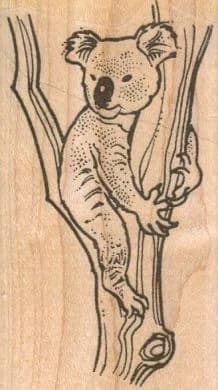 Koala In Tree 1 3/4 X 3