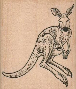 Kangaroo Hopping 3 1/4 X 3 3/4