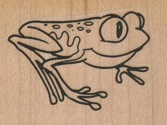 Frog 2 X 1 1/2