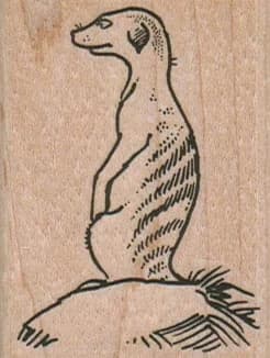 Meercat Watching 1 3/4 X 2 1/4