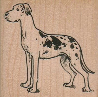 Harlequin Great Dane 2 3/4 X 2 3/4