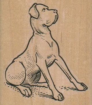 Sitting Great Dane 2 1/4 X 2 1/2