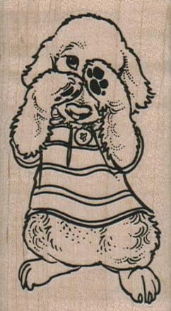 Sad Bichon Dog Rubbing Eyes 1 3/4 X 3