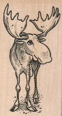 Moose Head On 2 1/4 X 3 3/4