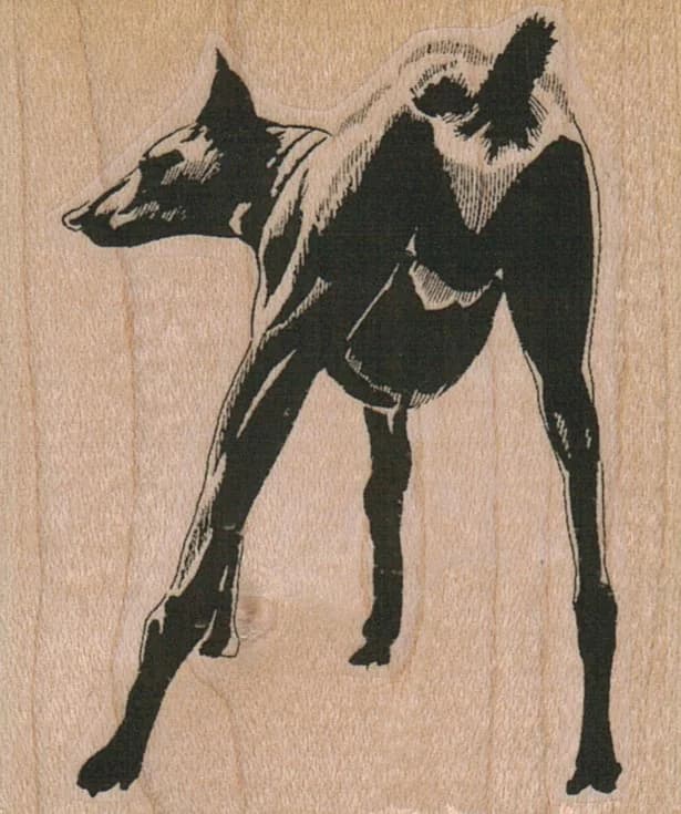 Doberman Back 2 1/4 X 2 1/2