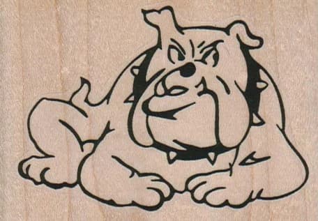 Bulldog With Spike Collar 3 1/4 X 2 1/4