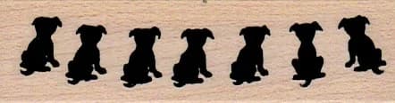 Seven Sitting Dogs 1 X 3