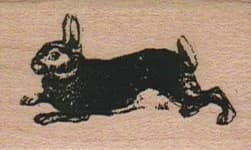 Bunny Running 1 1/4 X 1 3/4