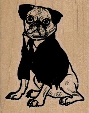 Pug Dog In Coat 2 1/4 X 2 3/4
