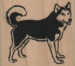 Husky Dog Standing 2 X 1 3/4