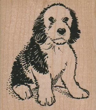 Quizzical Dog 2 1/4 X 2 1/2