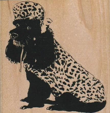 Poodle In Spotted Coat & Hat 3 X 3 1/4
