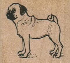 Pug Dog Standing 1 3/4 X 1 1/2