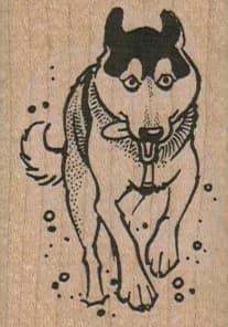 Running Dog 1 1/2 X 2