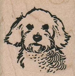 Fluffy Bichon 1 3/4 X 1 3/4