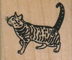 Striped Cat 1 3/4 X 1 1/2