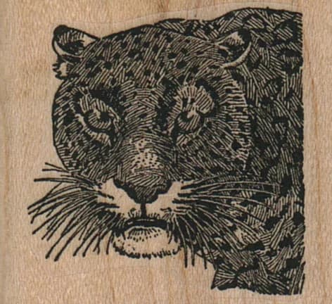 Leopard Head 1 3/4 X 1 1/2