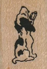 Spaniel Dog Barking 3/4 X 1
