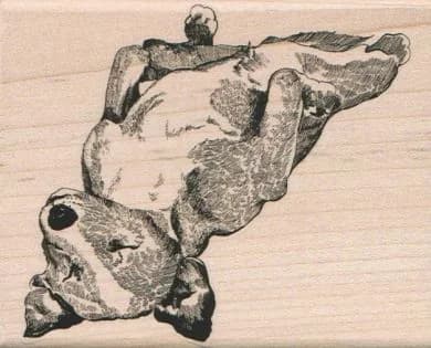 Basenji Dog Relaxing 3 1/2 X 4 1/4