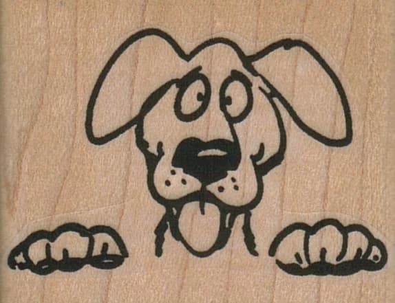 Dog Peering 2 X 1 1/2