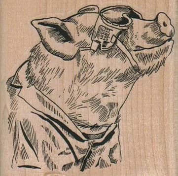 Pig In Sunglasses 2 1/2 X 2 1/2