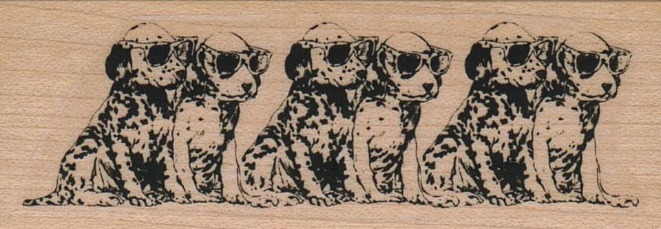 Dog Line 1 1/4 X 3 1/4